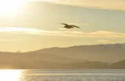 03 dsc_5689